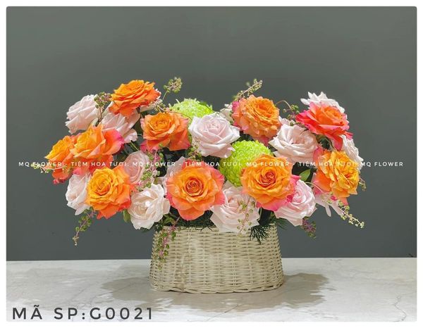  G0022-TRI KỶ 