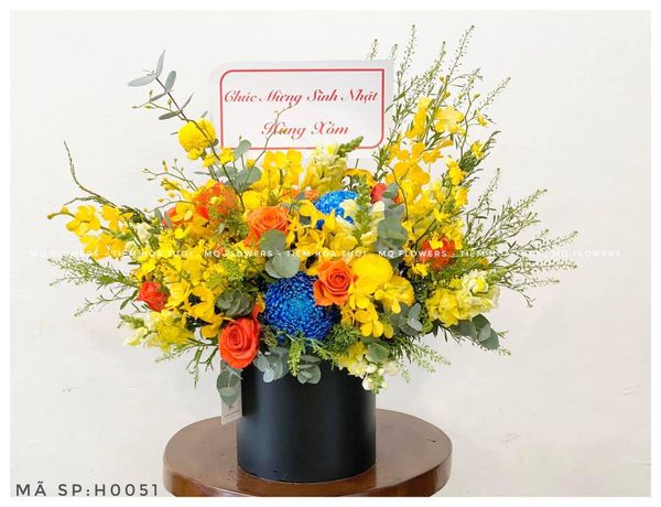  H0004-ÁNH NẮNG BAN MAI 