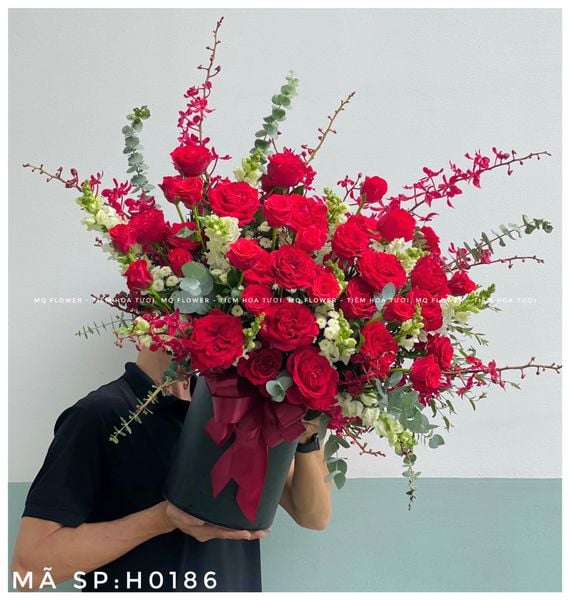  H0017-LỜI CHÚC MỪNG 