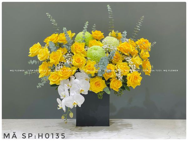  H0104-ÁNH NẮNG MẶT TRỜI 