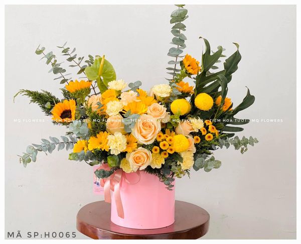  H0036 - HỪNG ĐÔNG 