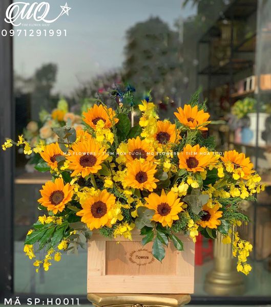  H0037 - HƯỚNG TỚI MẶT TRỜI 