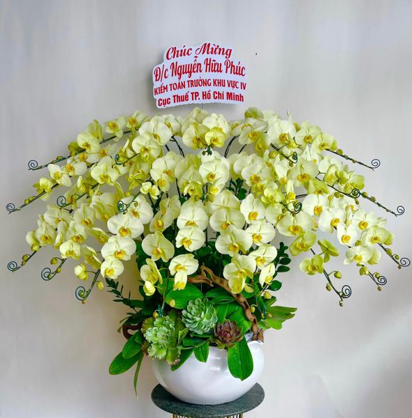  L0042 - LAN HỒ ĐIỆP 