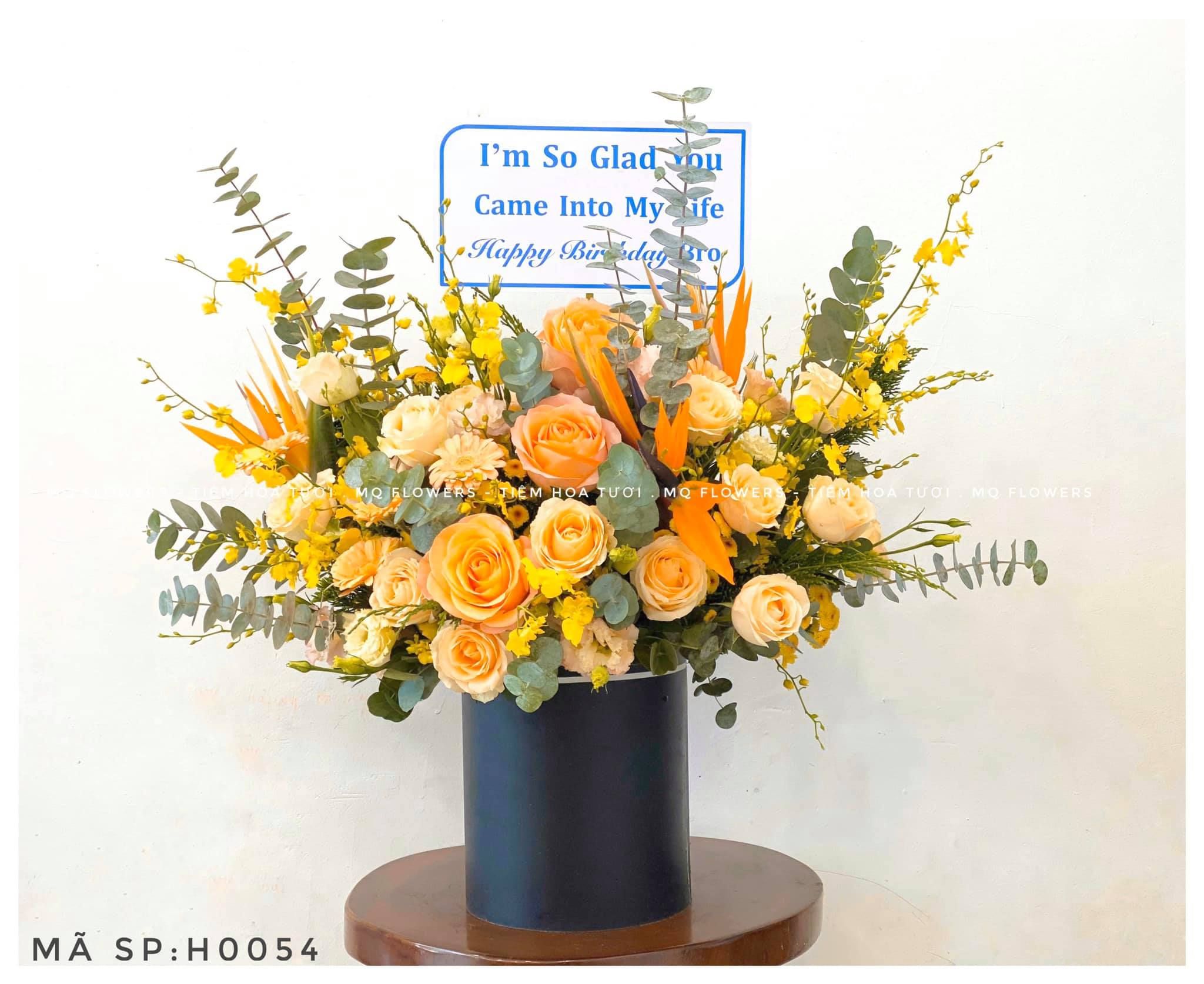  H0044-KHỞI ĐẦU MỚI 