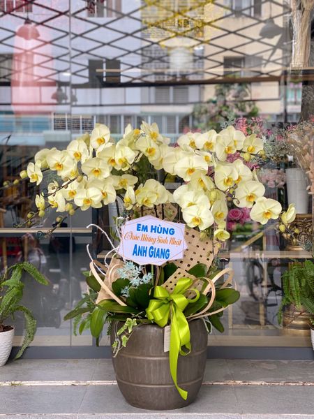  L0023-KHỞI ĐẦU MỚI 