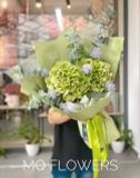  B0157-MẮT BIẾC 