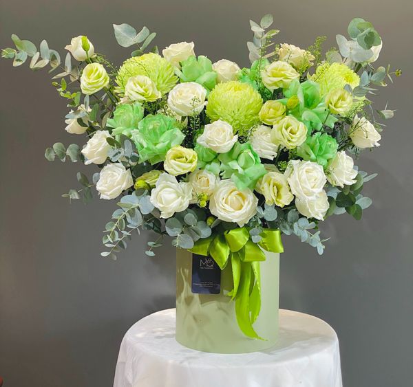  H00189 - Tươi Xanh 