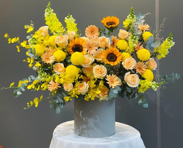  H00190 - Nắng Vàng 