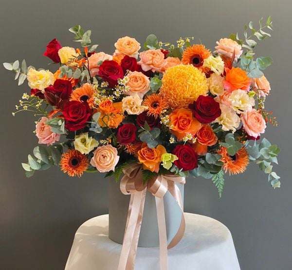  H00199 - Năng Lượng 