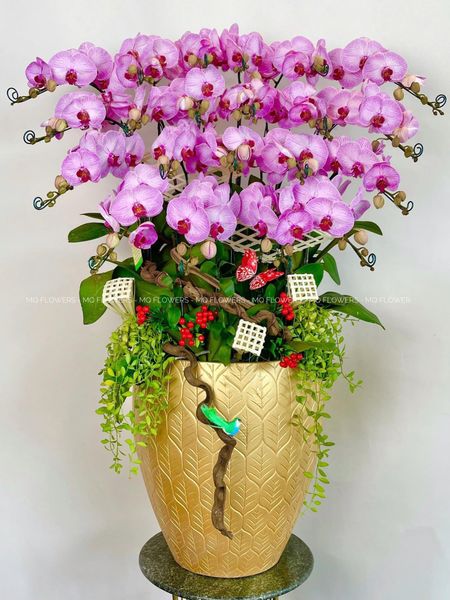  L0027 - LAN HÔ ĐIỆP 