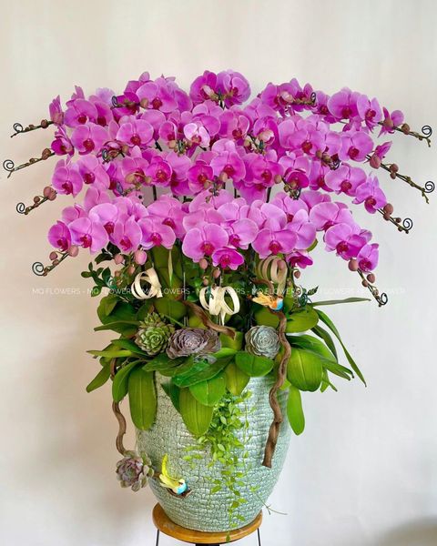  L0028 - LAN HỒ ĐIỆP 