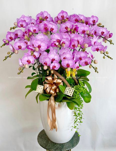  L0030 - LAN HỒ ĐIỆP 