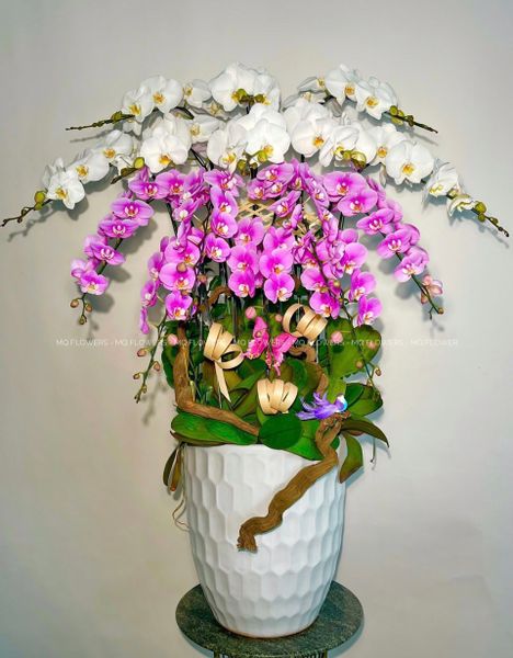  L0036 - LAN HỒ ĐIỆP 