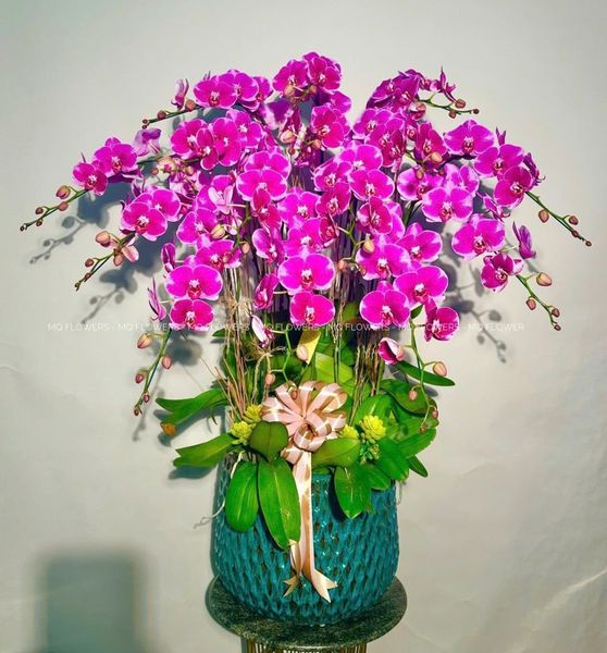  L0039 - LAN HỒ ĐIỆP 