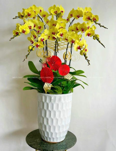  L0043 - LAN HỒ ĐIỆP 