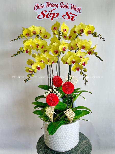  L0044 - LAN HỒ ĐIỆP 