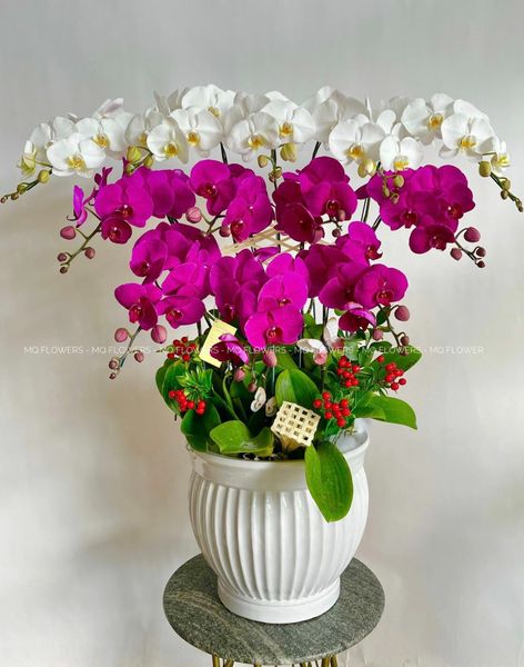  L0040 - LAN HỒ ĐIỆP 