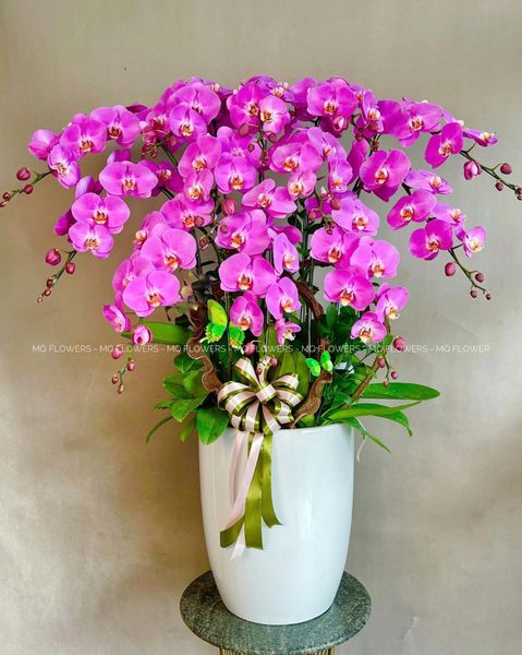  L0038 - LAN HỒ ĐIỆP 