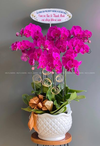  L0047 - LAN HỒ ĐIỆP 