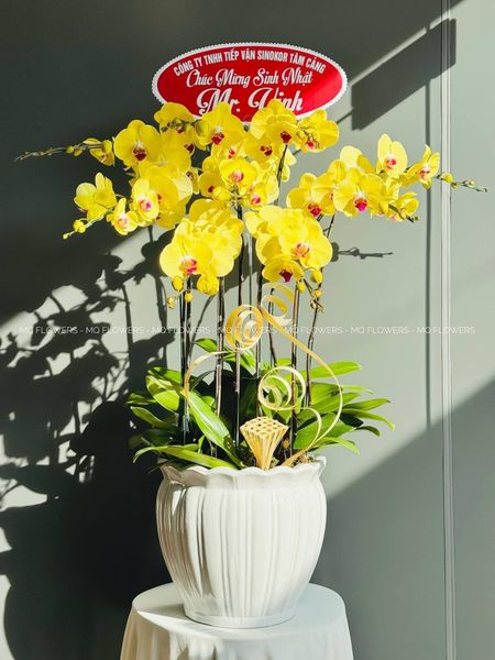  L0051 - LAN HỒ ĐIỆP 