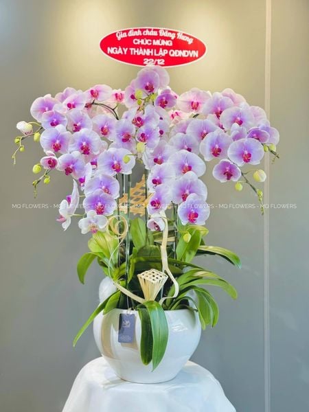  L0053 - LAN HỒ ĐIỆP 