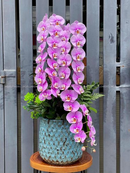  L0057  - LAN HỒ ĐIỆP 