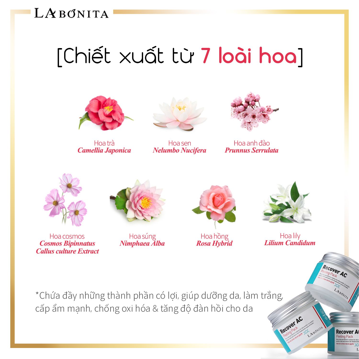  Mặt Nạ Lột Tẩy Da Chết Dành Cho Da Dầu Mụn La Bonita Recover AC Peeling Pack 50ml 