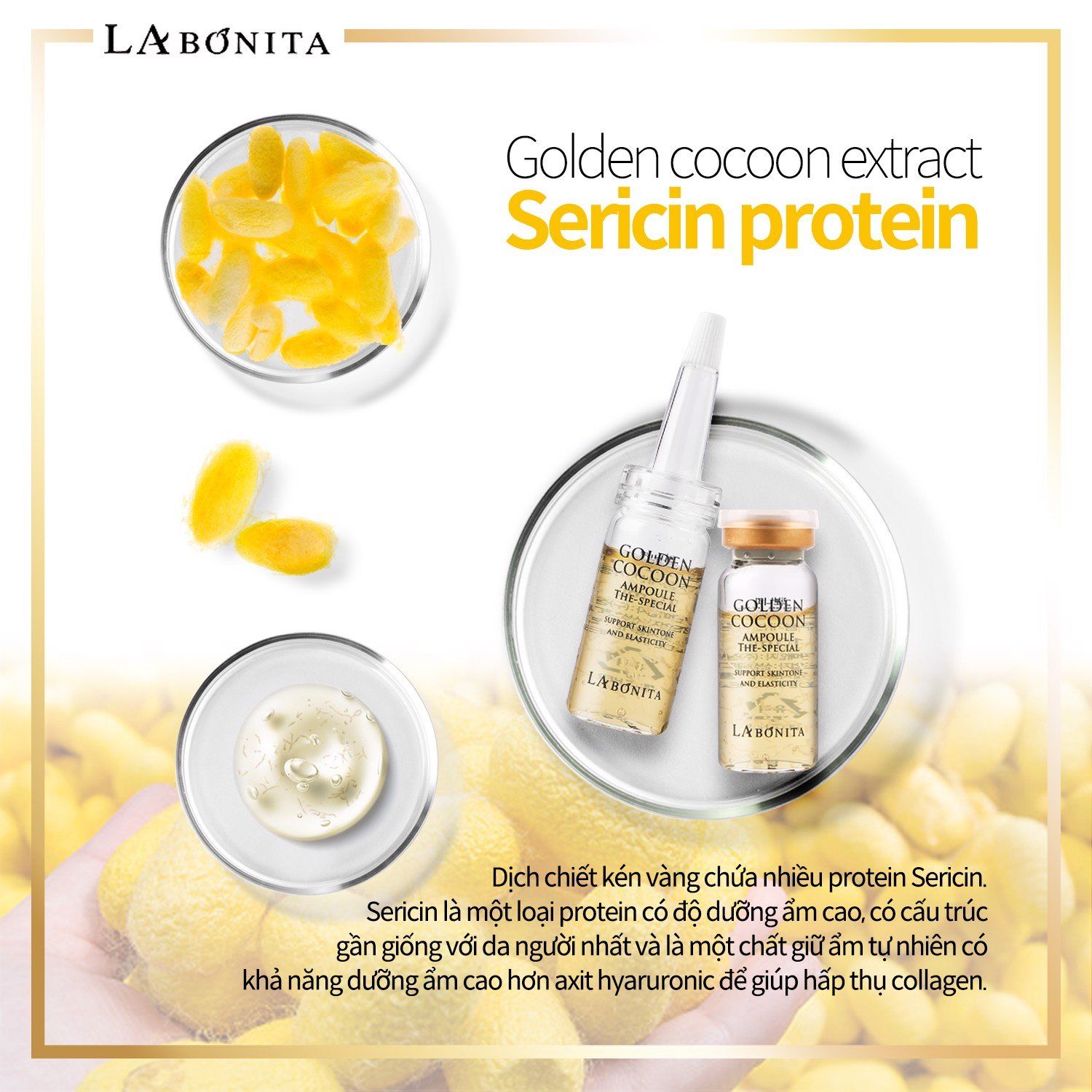  Set 4 Lọ Tinh Chất Kén Tằm Vàng La Bonita Golden Cocoon Ampoule The-Special 