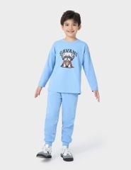 Bộ đông cotton-BBK241W4