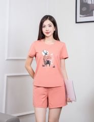 Bộ đồ hè nữ WBW244S4