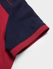 Áo polo nữ cao cấp WPC017S4