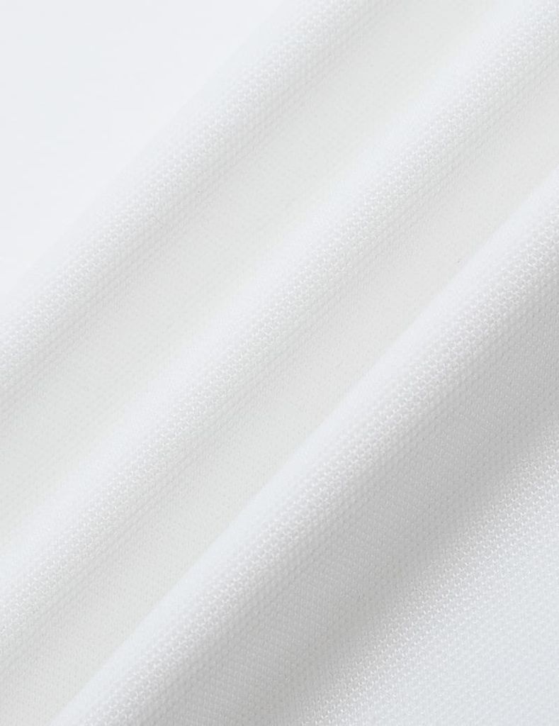 Áo polo nữ mắt chim line bo hình in trước ngực