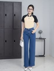 Áo polo nữ mắt chim cổ line phối khác màu