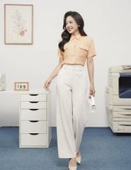 Áo sơ mi ngắn tay nữ WSS017S5