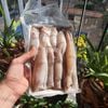 Cá phèn hồng tươi loại 1