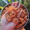 Tôm khô nõn Vân Đồn loại 1 túi 500g