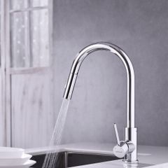 Vòi rửa chén Hafele HT21-CH1P287 577.55.230