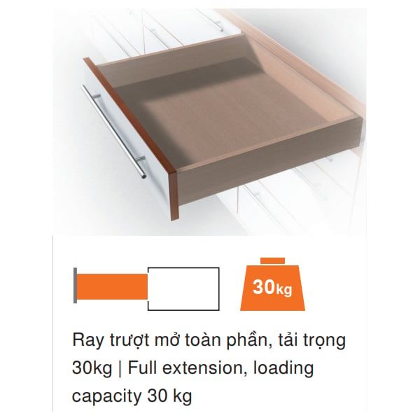Ray âm giảm chấn Blum TANDEM mở toàn phần 400mm 423.54.741 - 560F4000B