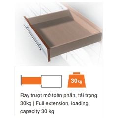 Ray âm giảm chấn Blum TANDEM mở toàn phần 400mm 423.54.741 - 560F4000B