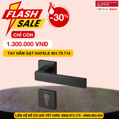 Tay nắm cửa Hafele màu đen 901.79.714