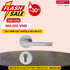 Tay nắm cửa Hafele 903.99.977