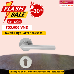 Tay nắm cửa Hafele 903.99.991