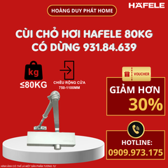 Cùi chỏ hơi Hafele có dừng 80kg 931.84.639