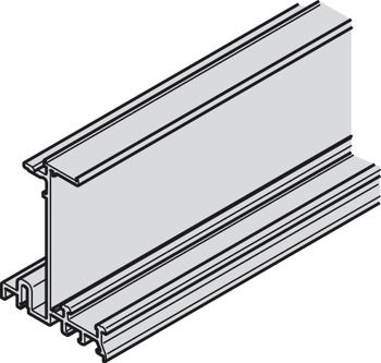 Ray đôi trượt trên 2500mm Hafele 402.35.625