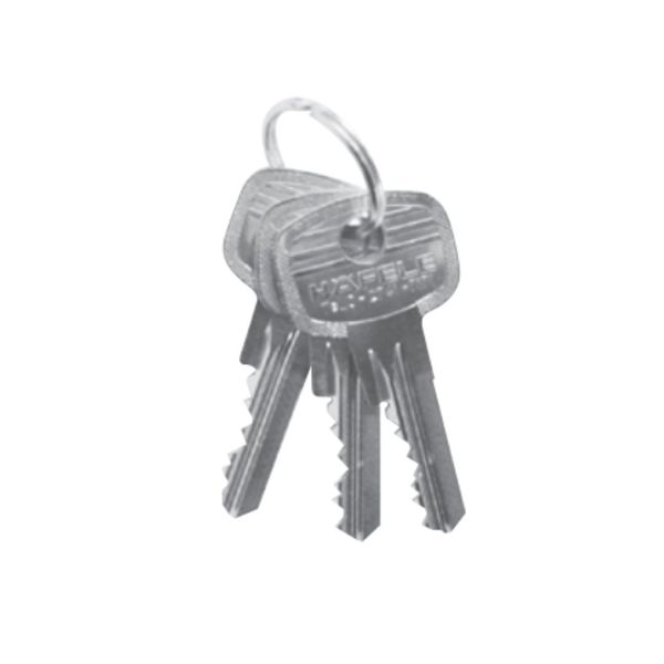 Chìa chủ EM 916.66.553