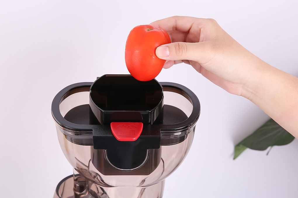 [MT] Máy ép chậm Hafele HSJ-B30A 535.43.531