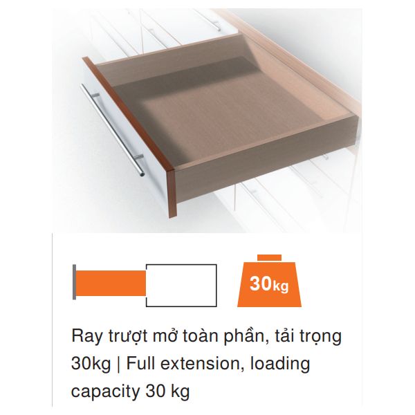 Ray âm giảm chấn Blum TANDEM mở toàn phần 550mm 423.54.756 - 560F5500B