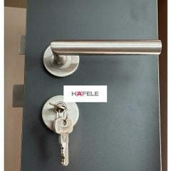 Tay nắm cửa Hafele 903.92.556