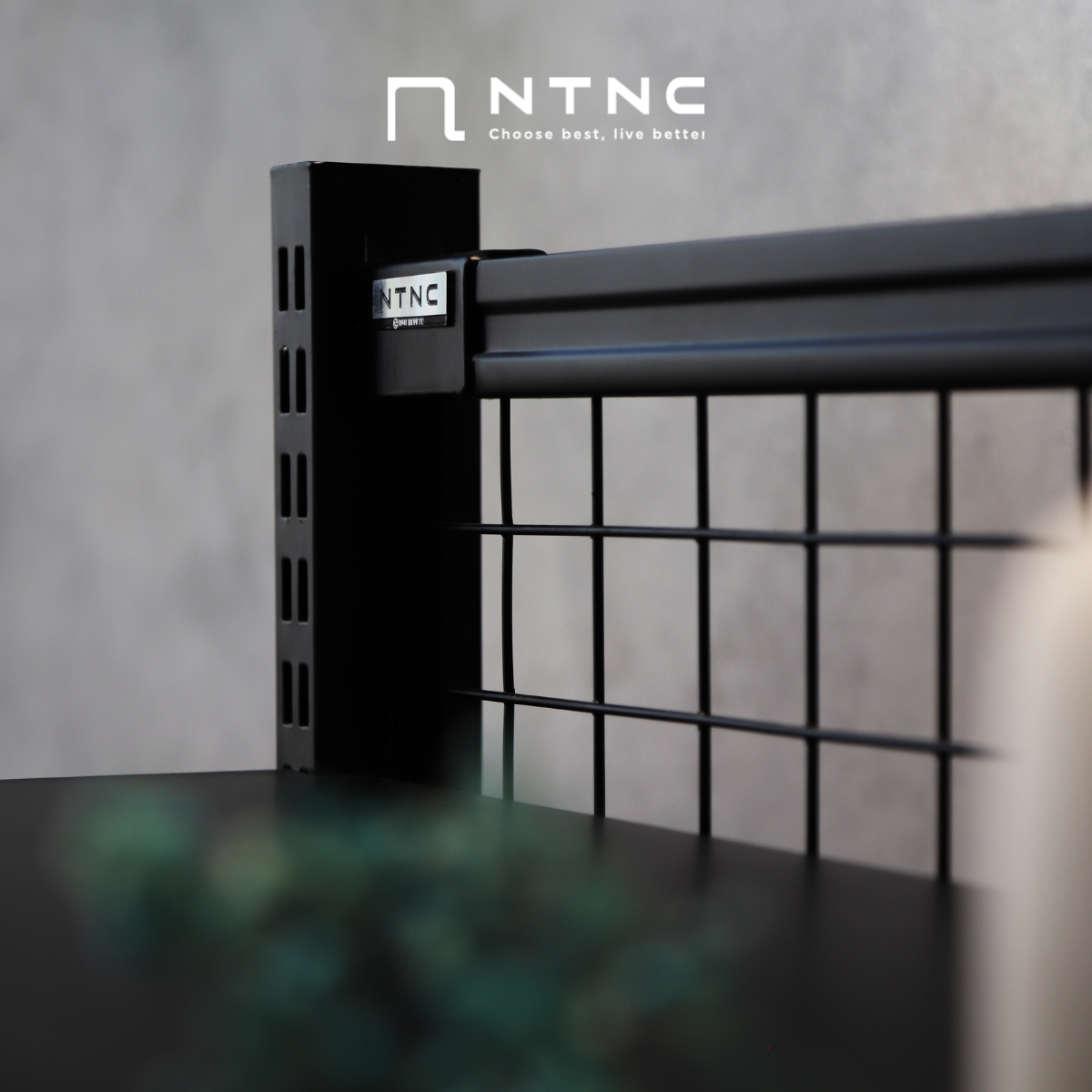 Kệ rack đôi trưng bày - kệ hàng đa năng – Nội thất Nhà Trong Nhà Company