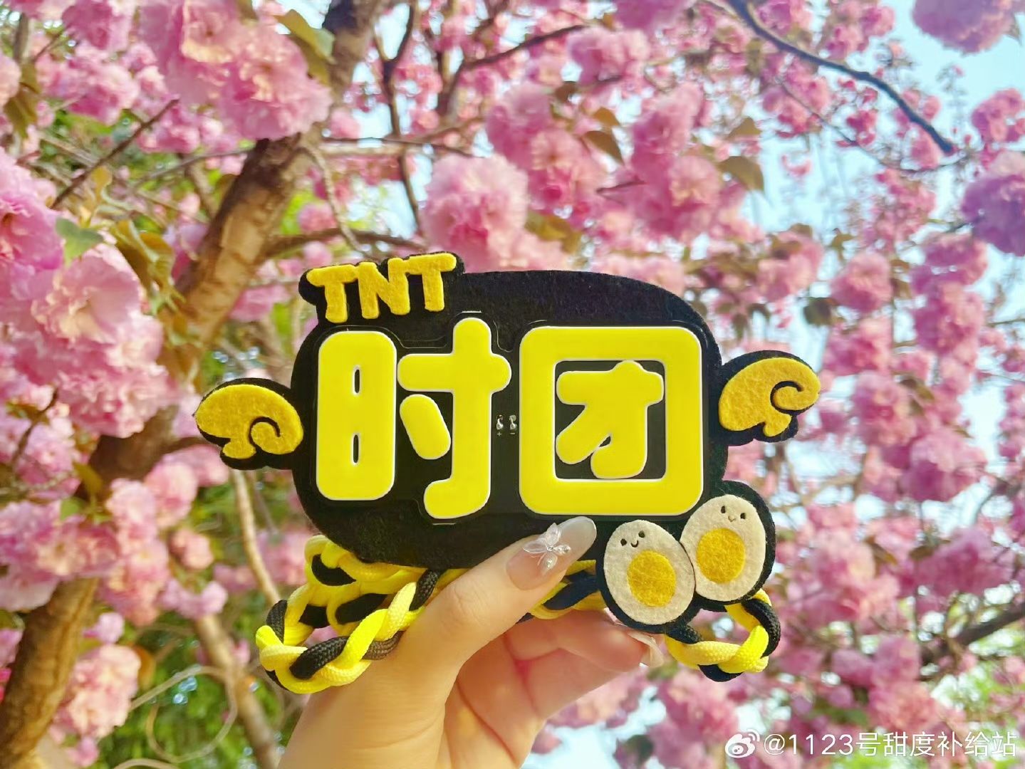  [PRE-ORDER] HẬU VIỆN HỘI - TNT - KẸP ĐT PHÁT SÁNG ( KÈM DÂY ĐEO ) 